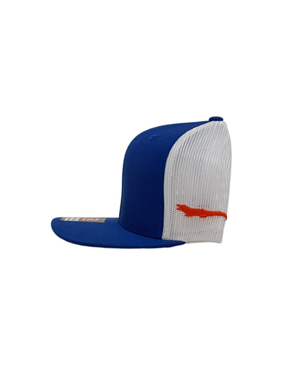 Florida gators | OTH hat