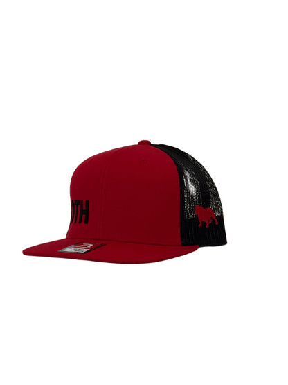 Georgia Bulldogs | OTH hat